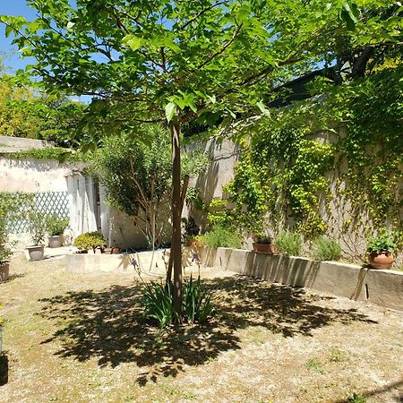 Appartement Au Coeur De Cassis Avec Jardin Экстерьер фото